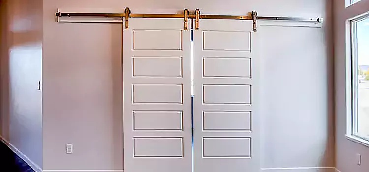 Glass Barn Door with Installation Hardware Kit Chesterfield