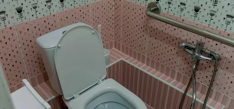Meeting Diverse Needs With Accessible Restroom Solutions in Chesterfield, MO
