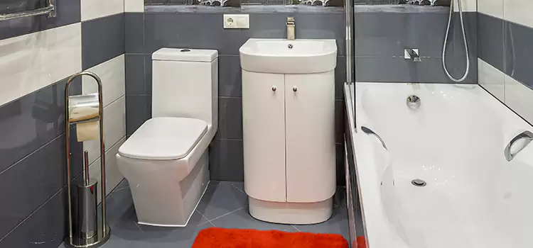 Hansgrohe Shaving Mirror Chesterfield
