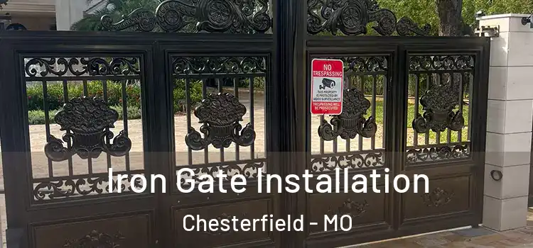  Iron Gate Installation Chesterfield - MO